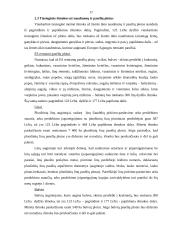 Gamintojų pajamų palaikymo priemonės ir instrumentai 17 puslapis