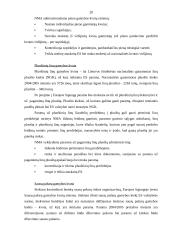 Gamintojų pajamų palaikymo priemonės ir instrumentai 20 puslapis