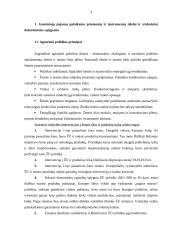 Gamintojų pajamų palaikymo priemonės ir instrumentai 3 puslapis