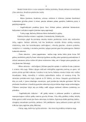 Gamintojų pajamų palaikymo priemonės ir instrumentai 9 puslapis