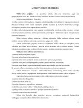 Teritorijų planavimas 12 puslapis