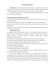 Teritorijų planavimas 15 puslapis