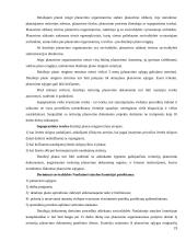 Teritorijų planavimas 18 puslapis