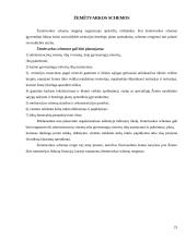 Teritorijų planavimas 20 puslapis