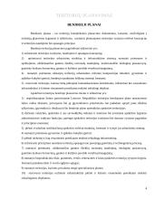 Teritorijų planavimas 3 puslapis