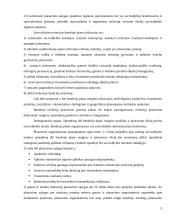 Teritorijų planavimas 4 puslapis