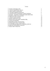 Tuštumėtų plokščių srautinė agregatinė gamyba 2 puslapis