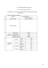 Tuštumėtų plokščių srautinė agregatinė gamyba 11 puslapis