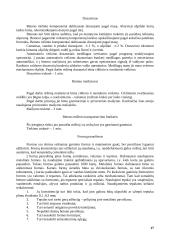 Tuštumėtų plokščių srautinė agregatinė gamyba 17 puslapis