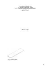 Tuštumėtų plokščių srautinė agregatinė gamyba 3 puslapis