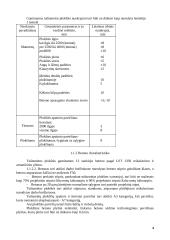 Tuštumėtų plokščių srautinė agregatinė gamyba 4 puslapis