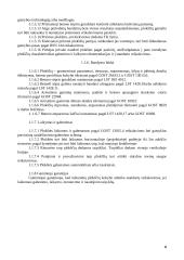 Tuštumėtų plokščių srautinė agregatinė gamyba 6 puslapis