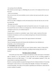 General accounting and auditing principles in Lithuania 17 puslapis