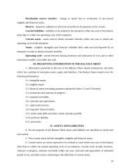 General accounting and auditing principles in Lithuania 19 puslapis