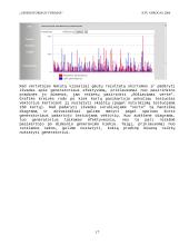 Generatoriaus tyrimas 17 puslapis