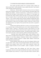 Gyvenamo namo šildymo sistemos ir vandentiekio automatizavimas 2 puslapis