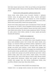 Valstybės sienos apsaugos užtikrinimas 11 puslapis