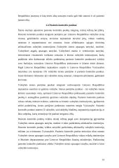 Valstybės sienos apsaugos užtikrinimas 13 puslapis