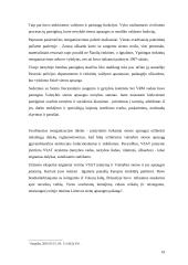 Valstybės sienos apsaugos užtikrinimas 18 puslapis