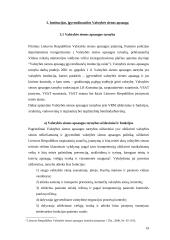 Valstybės sienos apsaugos užtikrinimas 19 puslapis