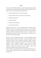 Valstybės sienos apsaugos užtikrinimas 3 puslapis