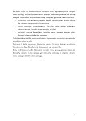 Valstybės sienos apsaugos užtikrinimas 4 puslapis