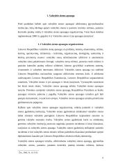 Valstybės sienos apsaugos užtikrinimas 5 puslapis