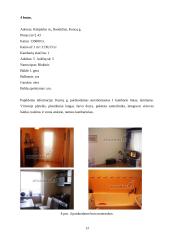 Gyvenamųjų patalpų Vaidaugų g. (Klaipėda) vertinimas ir nekilnojamojo turto rinkos analizė 13 puslapis