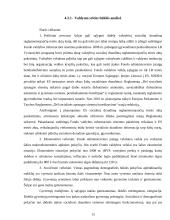 Valstybinio socialinio draudimo fondo valdybos strateginis planas 13 puslapis