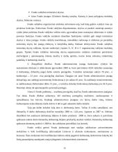 Valstybinio socialinio draudimo fondo valdybos strateginis planas 15 puslapis