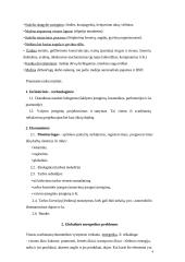 Globalinių problemų ekonominiai aspektai 4 puslapis