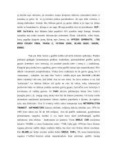 Graffiti raida pasaulyje 11 puslapis