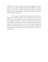 Graffiti raida pasaulyje 12 puslapis