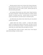 Graffiti raida pasaulyje 17 puslapis