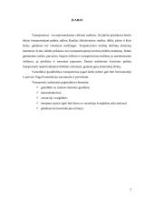 Grandiklinis transporteris 2 puslapis