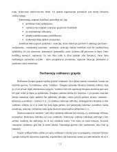 Grupės funkcijos organizacijoje. Darbas grupėse 11 puslapis