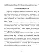 Grupės funkcijos organizacijoje. Darbas grupėse 12 puslapis