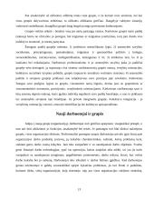 Grupės funkcijos organizacijoje. Darbas grupėse 13 puslapis