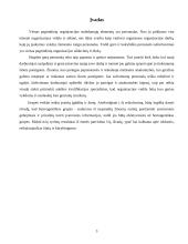 Grupės funkcijos organizacijoje. Darbas grupėse 3 puslapis