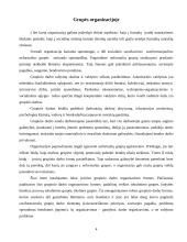 Grupės funkcijos organizacijoje. Darbas grupėse 4 puslapis