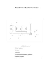 Grupinių viešosios tvarkos pažeidimų ir riaušių likvidavimas sporto renginiuose. Taktiniai ypatumai 13 puslapis