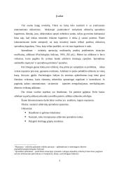 Uždavinio sprendimo ypatumai 3 puslapis