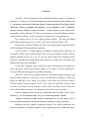 Uždavinio sprendimo ypatumai 4 puslapis