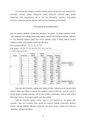 Uždavinio sprendimo ypatumai 8 puslapis