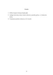 Uždavinio sprendimo ypatumai 10 puslapis