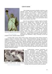 Vilniaus gynybinė siena, Šv. Bernardino Sieniečio (Bernardinų) bažnyčia ir Laisvės statula 13 puslapis