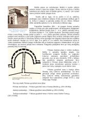 Vilniaus gynybinė siena, Šv. Bernardino Sieniečio (Bernardinų) bažnyčia ir Laisvės statula 5 puslapis