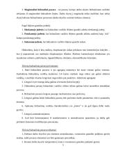 Hidraulinių aparatų kompleksas 3 puslapis