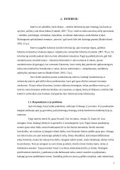 Interviu planavimas 3 puslapis