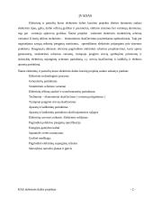 Hidroelektrinės projektas 2 puslapis